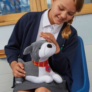 TTS raskusloom sületekiga - šnautser koer 1,36kg